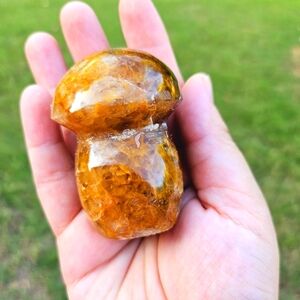 golden healer mushroom